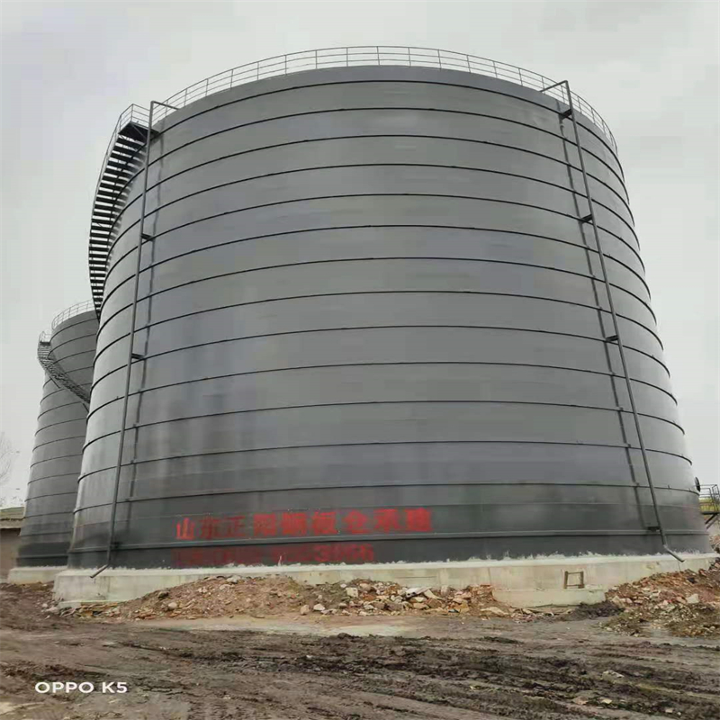 南充3万吨大型钢板库