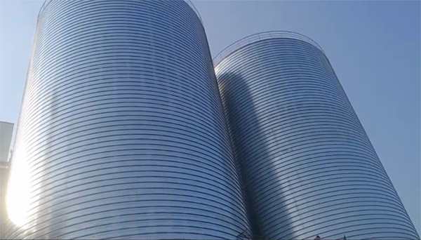 南充2座混凝土高架卷板仓